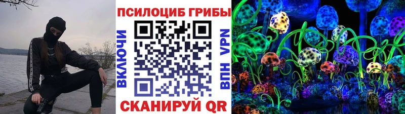 где можно купить наркотик  Хабаровск  Псилоцибиновые грибы прущие грибы 